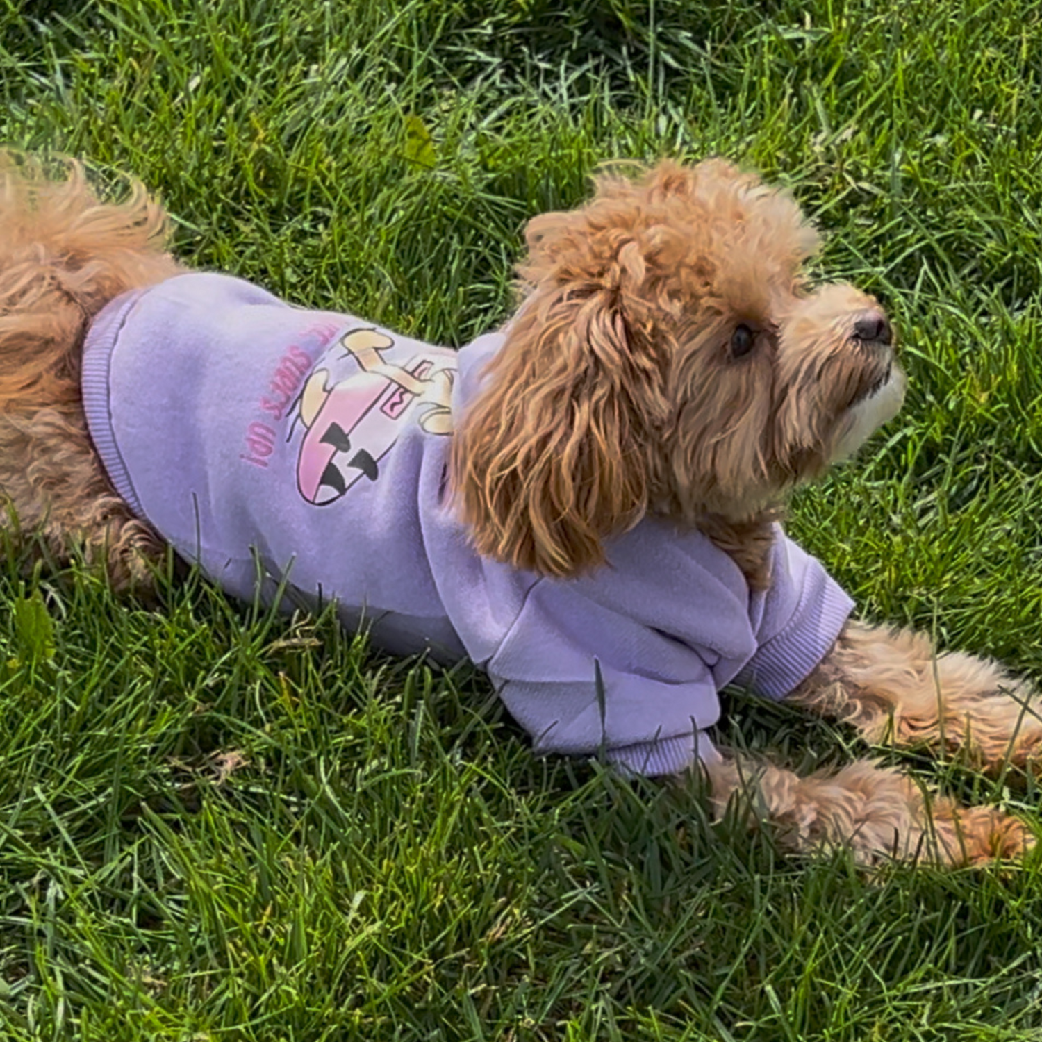 Life's Ruff, Surf’s Up Dog Hoodie – Pink Surf™ Exclusive